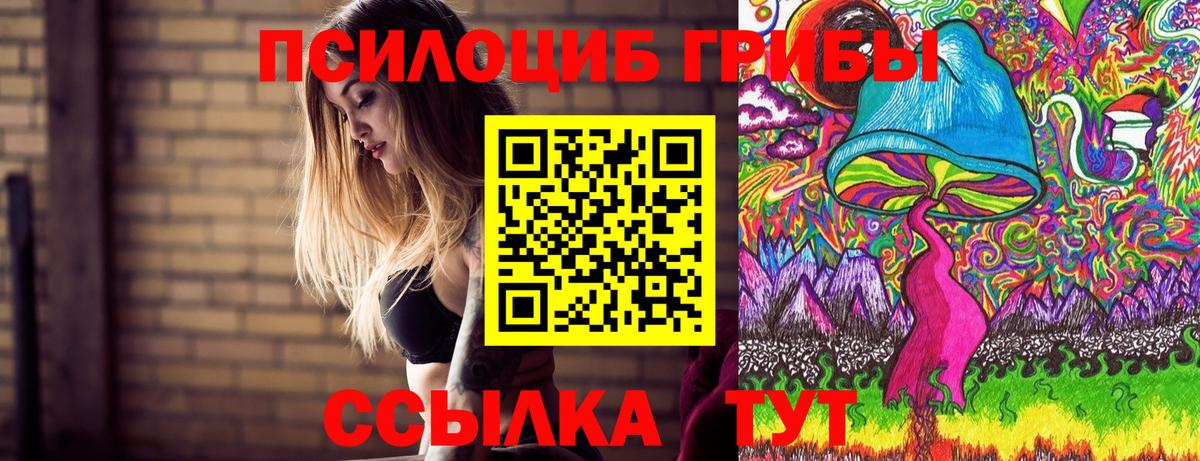 Псилоцибиновые грибы GOLDEN TEACHER Можайск